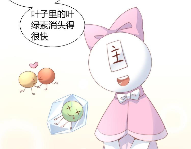 猫爪之下韩漫全集-第75话 枫叶的传说无删减无遮挡章节图片 
