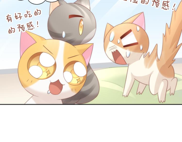 猫爪之下韩漫全集-第75话 枫叶的传说无删减无遮挡章节图片 