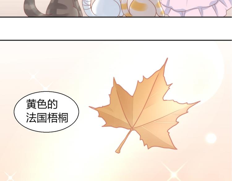 猫爪之下韩漫全集-第75话 枫叶的传说无删减无遮挡章节图片 