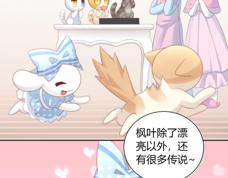 猫爪之下韩漫全集-第75话 枫叶的传说无删减无遮挡章节图片 