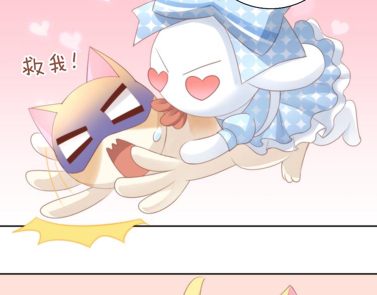 猫爪之下韩漫全集-第75话 枫叶的传说无删减无遮挡章节图片 