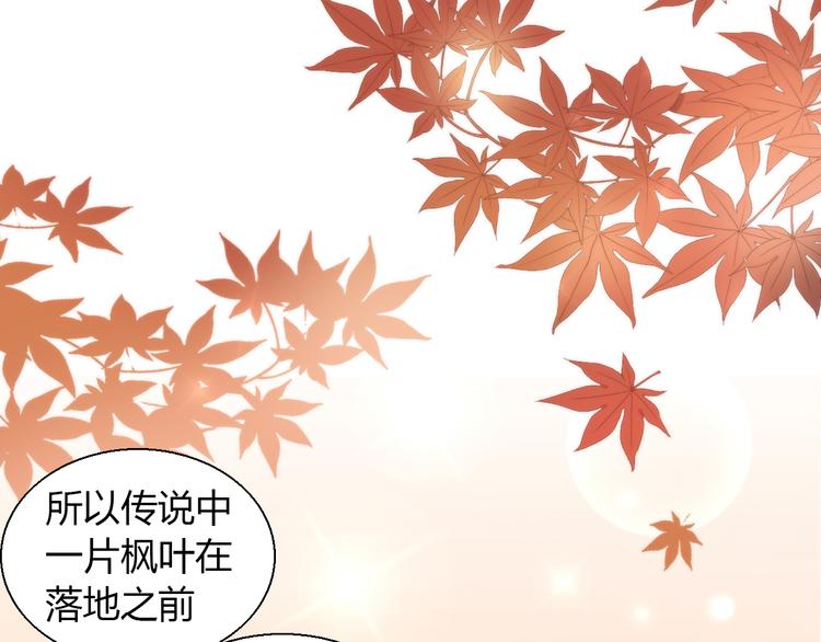 猫爪之下韩漫全集-第75话 枫叶的传说无删减无遮挡章节图片 