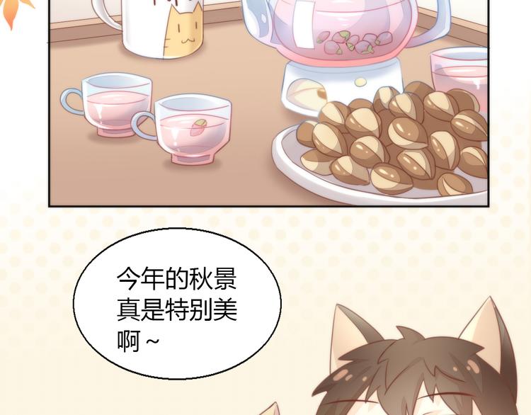 猫爪之下韩漫全集-第75话 枫叶的传说无删减无遮挡章节图片 