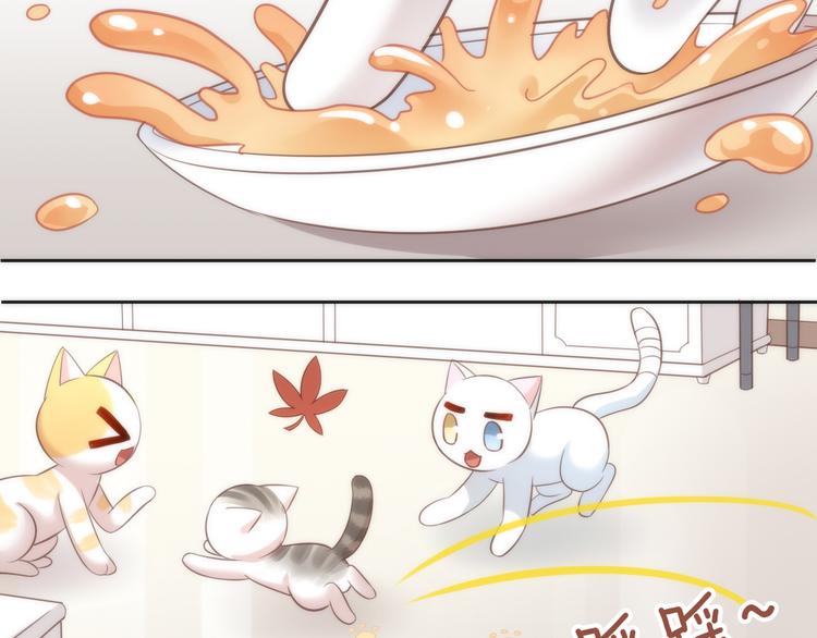 猫爪之下韩漫全集-第75话 枫叶的传说无删减无遮挡章节图片 