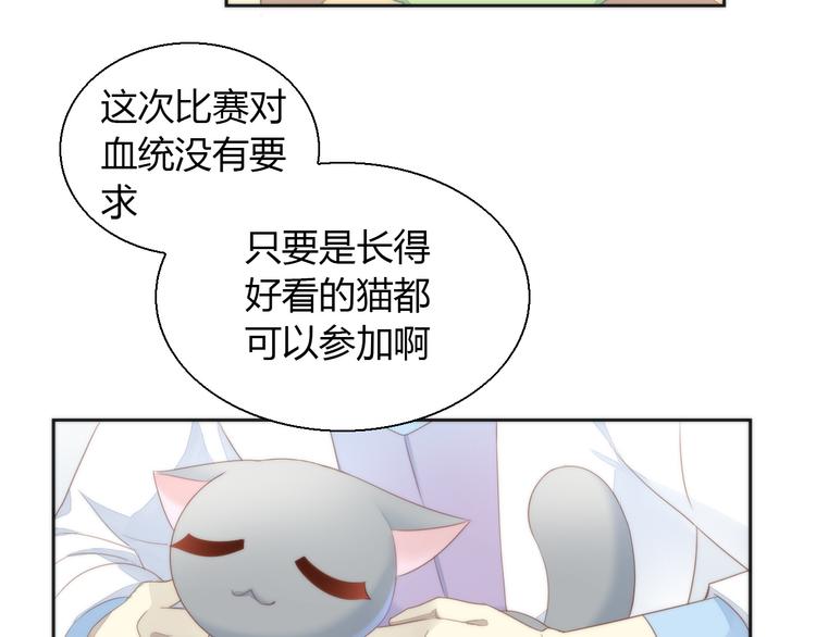 猫爪之下韩漫全集-第76话 猫咪选美大赛无删减无遮挡章节图片 