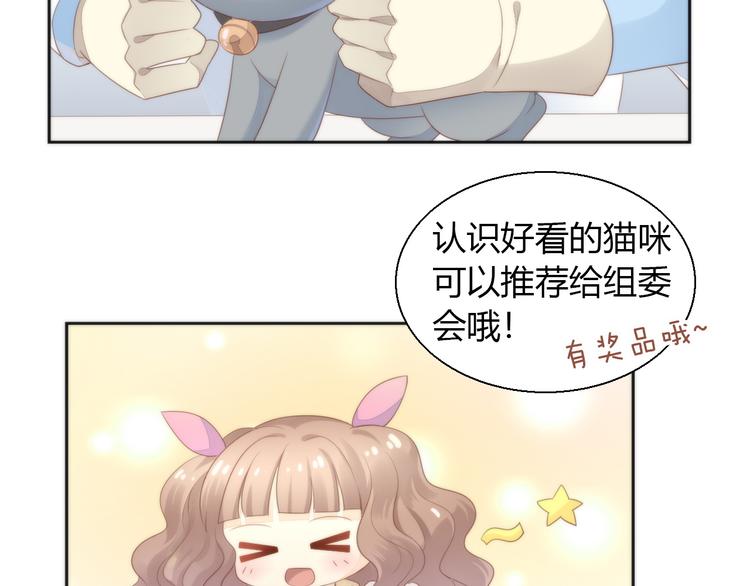 猫爪之下韩漫全集-第76话 猫咪选美大赛无删减无遮挡章节图片 