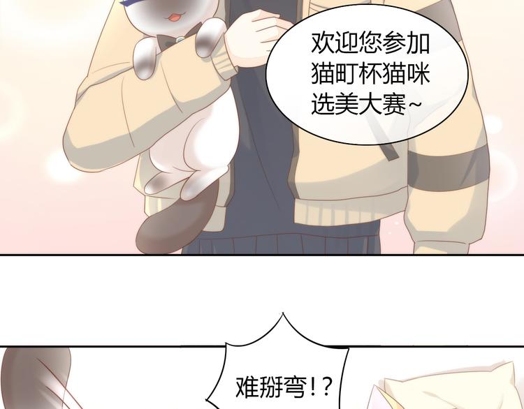 猫爪之下韩漫全集-第76话 猫咪选美大赛无删减无遮挡章节图片 