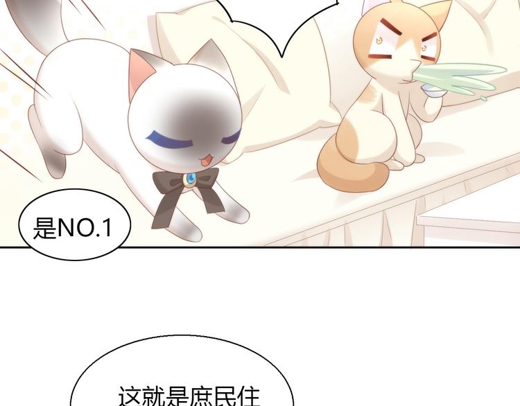 猫爪之下韩漫全集-第76话 猫咪选美大赛无删减无遮挡章节图片 