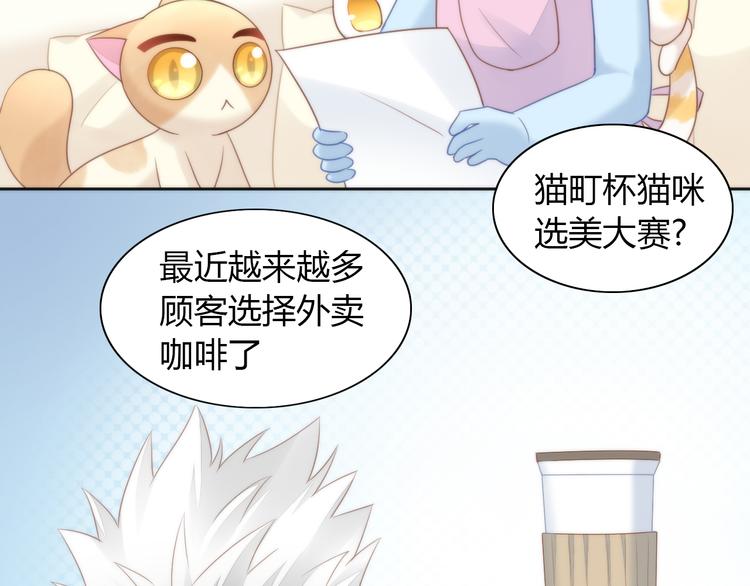 猫爪之下韩漫全集-第76话 猫咪选美大赛无删减无遮挡章节图片 