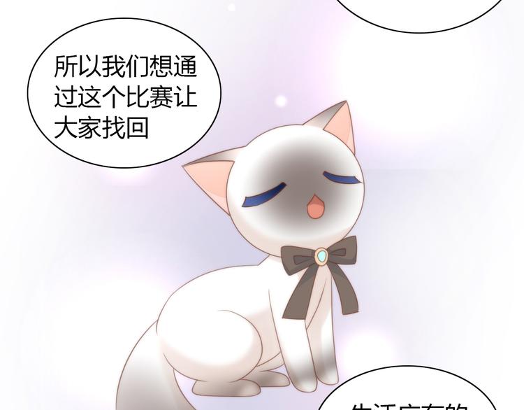 猫爪之下韩漫全集-第76话 猫咪选美大赛无删减无遮挡章节图片 