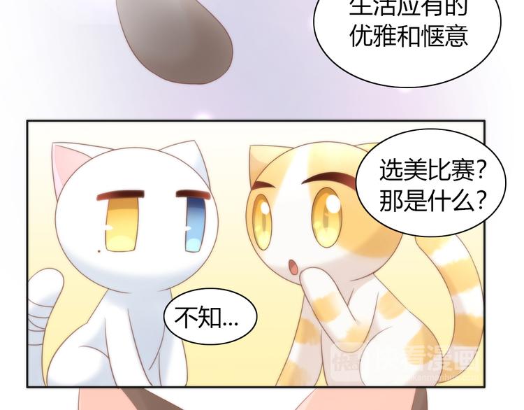 猫爪之下韩漫全集-第76话 猫咪选美大赛无删减无遮挡章节图片 