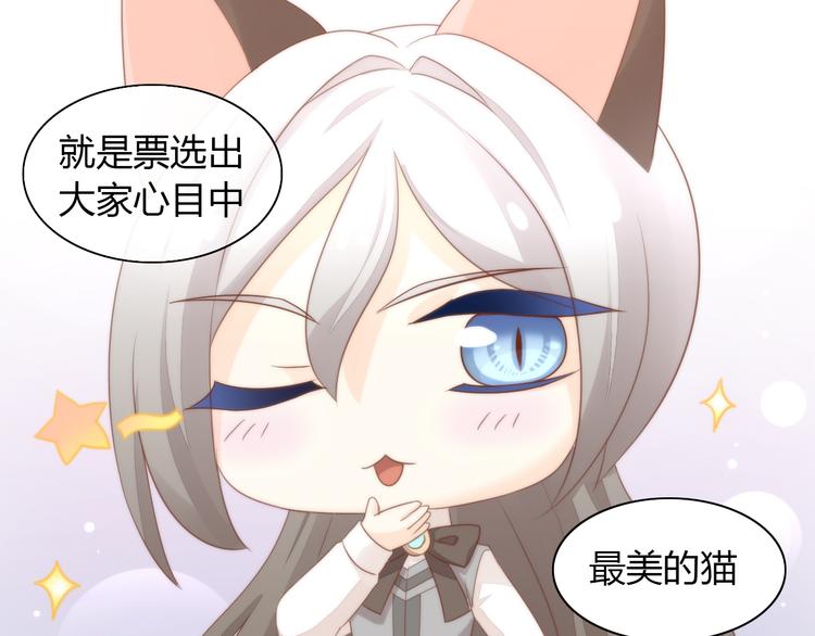 猫爪之下韩漫全集-第76话 猫咪选美大赛无删减无遮挡章节图片 