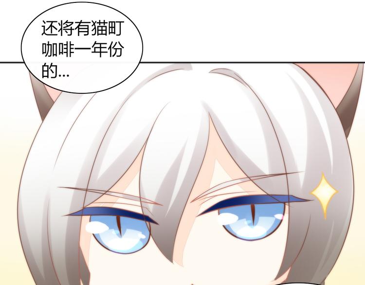 猫爪之下韩漫全集-第76话 猫咪选美大赛无删减无遮挡章节图片 