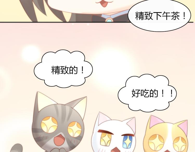 猫爪之下韩漫全集-第76话 猫咪选美大赛无删减无遮挡章节图片 