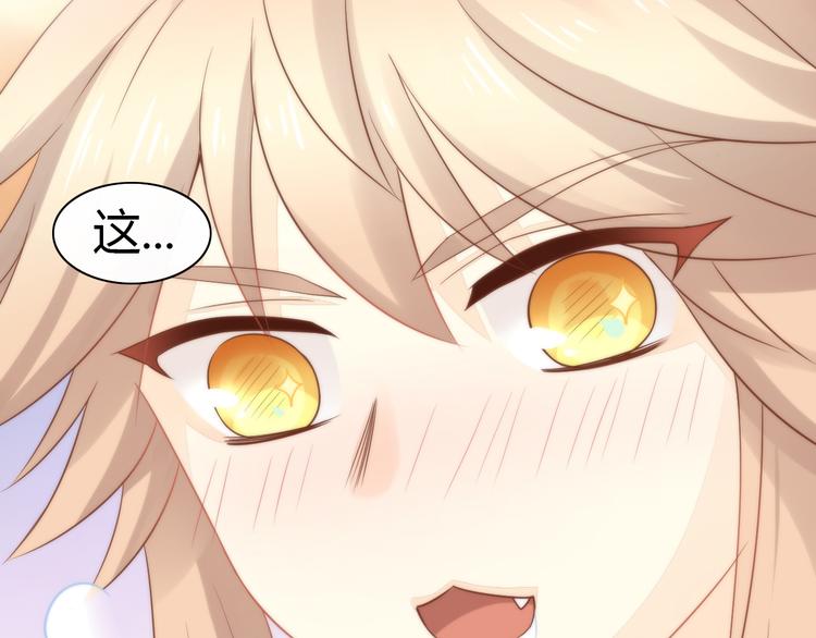 猫爪之下韩漫全集-第76话 猫咪选美大赛无删减无遮挡章节图片 