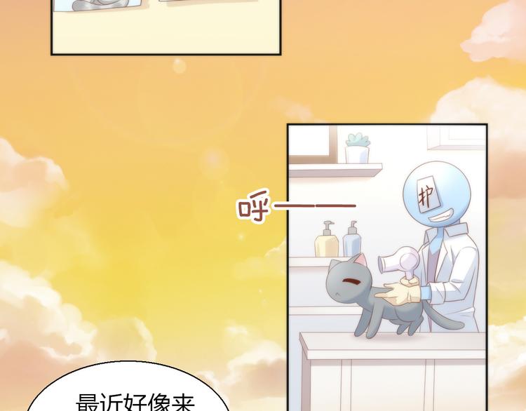 猫爪之下韩漫全集-第76话 猫咪选美大赛无删减无遮挡章节图片 