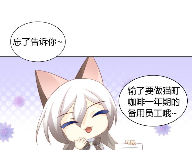 猫爪之下韩漫全集-第76话 猫咪选美大赛无删减无遮挡章节图片 