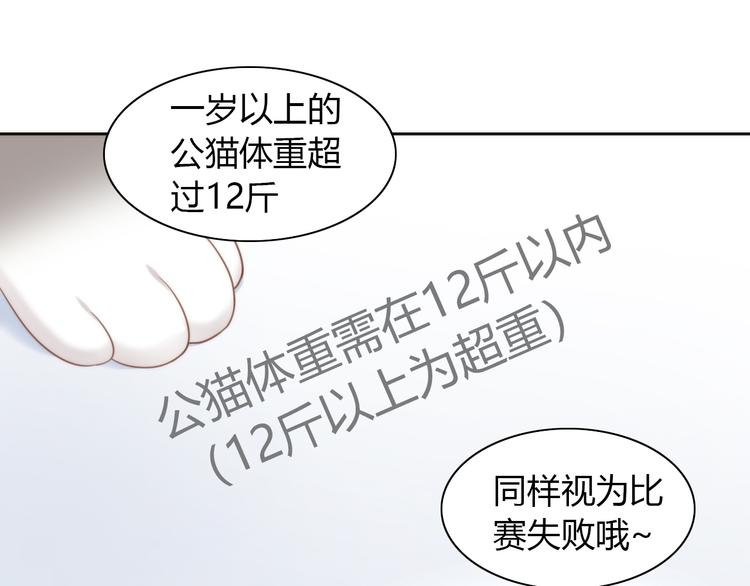 猫爪之下韩漫全集-第76话 猫咪选美大赛无删减无遮挡章节图片 