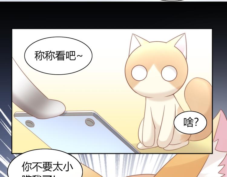 猫爪之下韩漫全集-第76话 猫咪选美大赛无删减无遮挡章节图片 