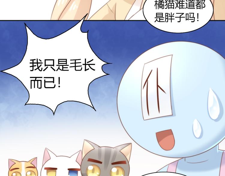 猫爪之下韩漫全集-第76话 猫咪选美大赛无删减无遮挡章节图片 