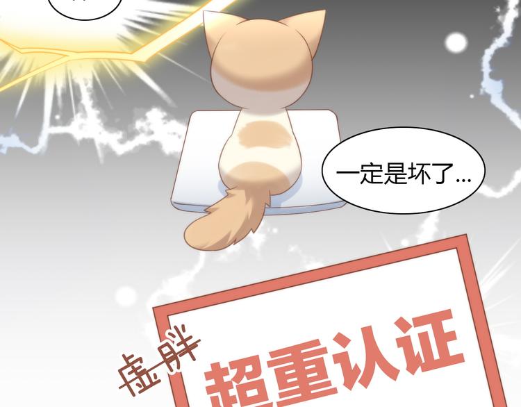 猫爪之下韩漫全集-第76话 猫咪选美大赛无删减无遮挡章节图片 