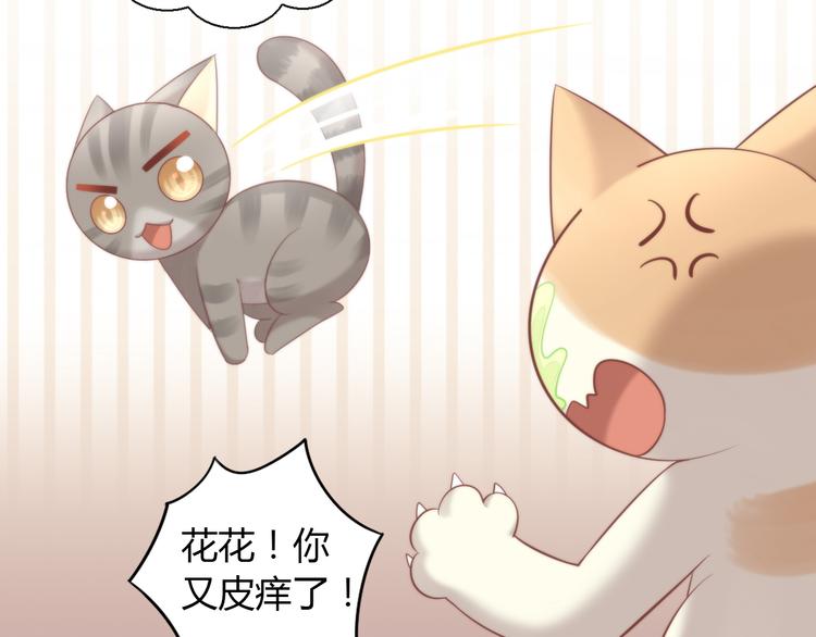 猫爪之下韩漫全集-第77话 燃烧你的卡路里无删减无遮挡章节图片 