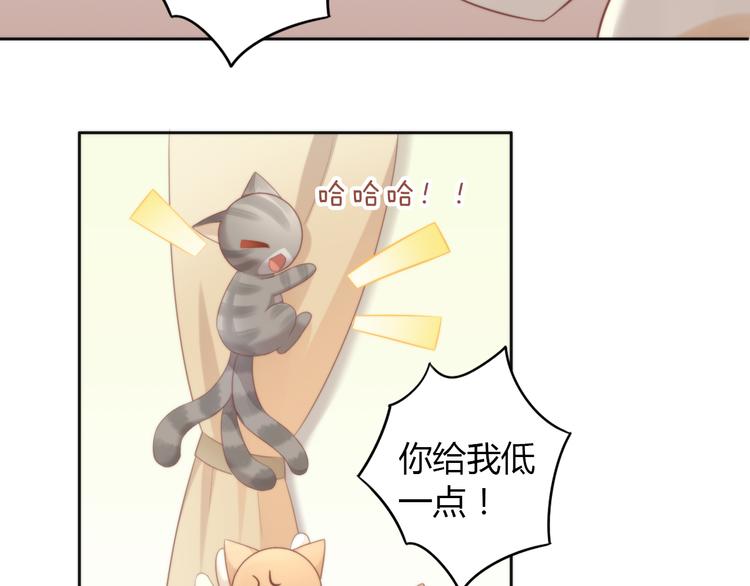 猫爪之下韩漫全集-第77话 燃烧你的卡路里无删减无遮挡章节图片 