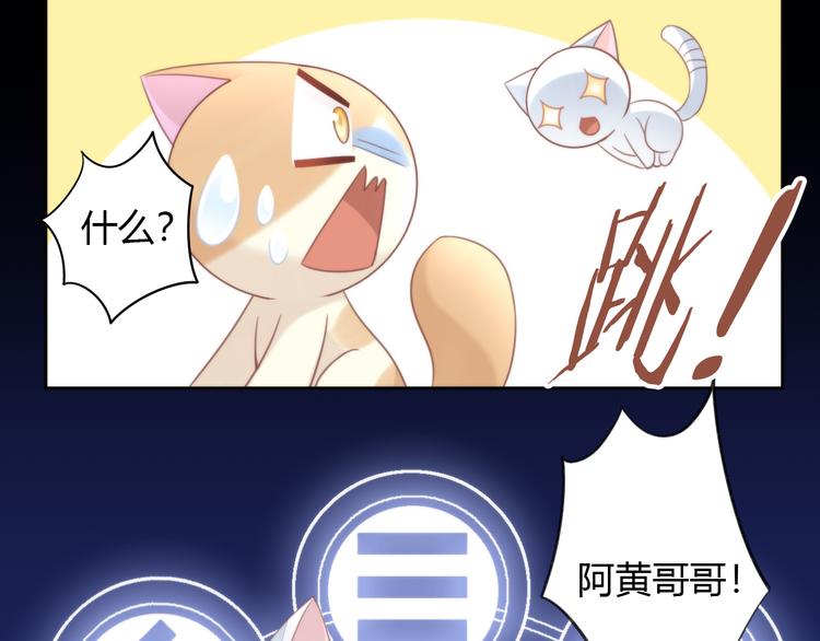 猫爪之下韩漫全集-第77话 燃烧你的卡路里无删减无遮挡章节图片 