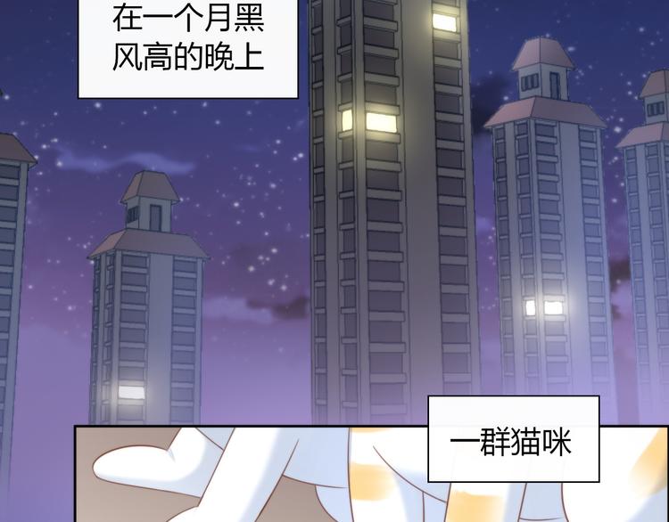 猫爪之下韩漫全集-第77话 燃烧你的卡路里无删减无遮挡章节图片 