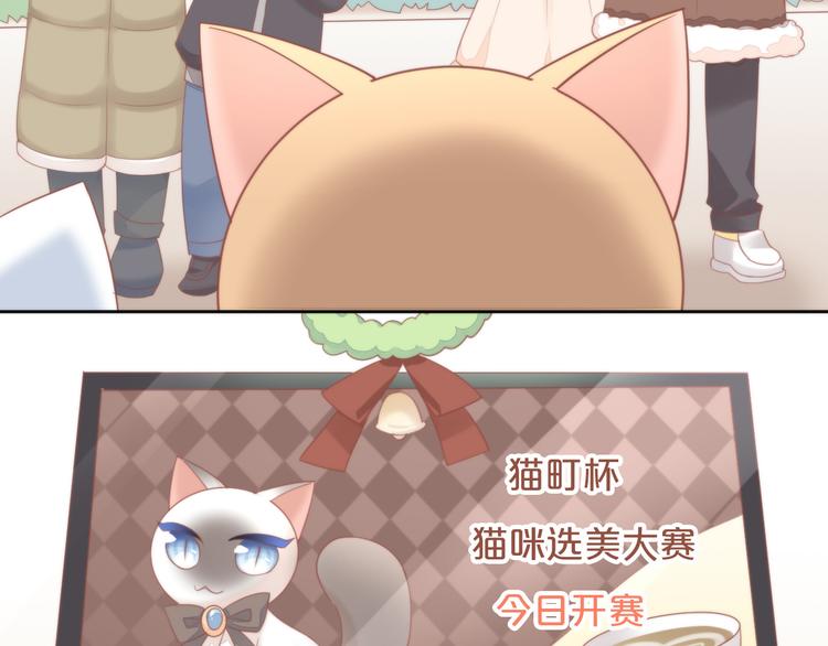 猫爪之下韩漫全集-第78话 选美比赛无删减无遮挡章节图片 