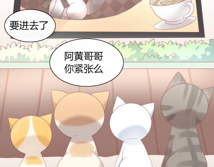 猫爪之下韩漫全集-第78话 选美比赛无删减无遮挡章节图片 