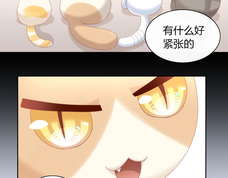 猫爪之下韩漫全集-第78话 选美比赛无删减无遮挡章节图片 