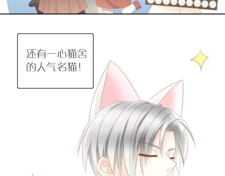 猫爪之下韩漫全集-第78话 选美比赛无删减无遮挡章节图片 