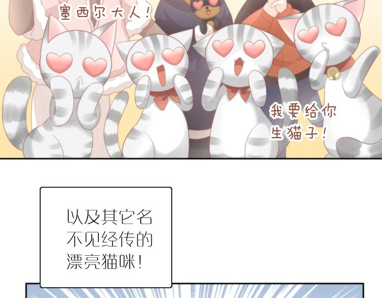 猫爪之下韩漫全集-第78话 选美比赛无删减无遮挡章节图片 