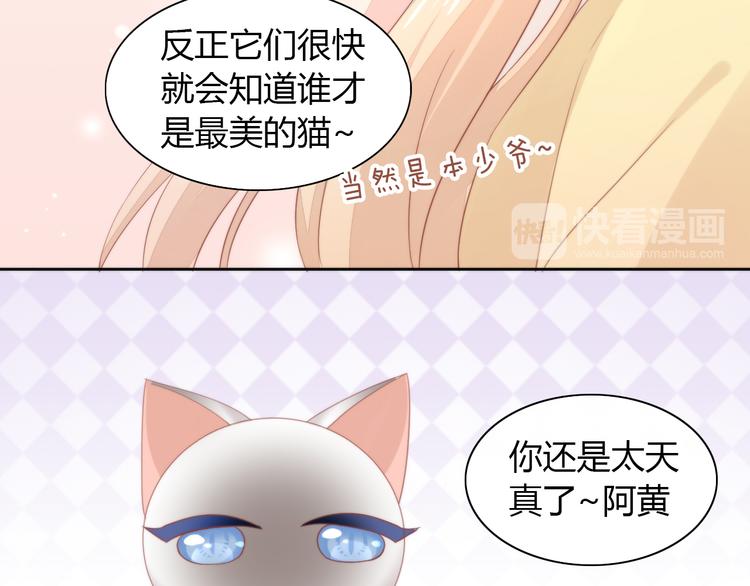 猫爪之下韩漫全集-第78话 选美比赛无删减无遮挡章节图片 