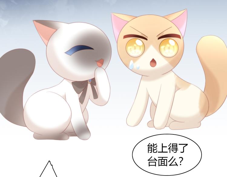 猫爪之下韩漫全集-第78话 选美比赛无删减无遮挡章节图片 