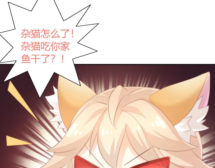 猫爪之下韩漫全集-第78话 选美比赛无删减无遮挡章节图片 