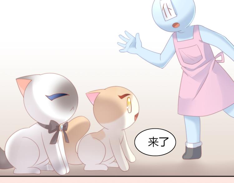 猫爪之下韩漫全集-第78话 选美比赛无删减无遮挡章节图片 