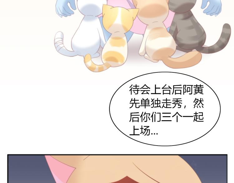 猫爪之下韩漫全集-第78话 选美比赛无删减无遮挡章节图片 
