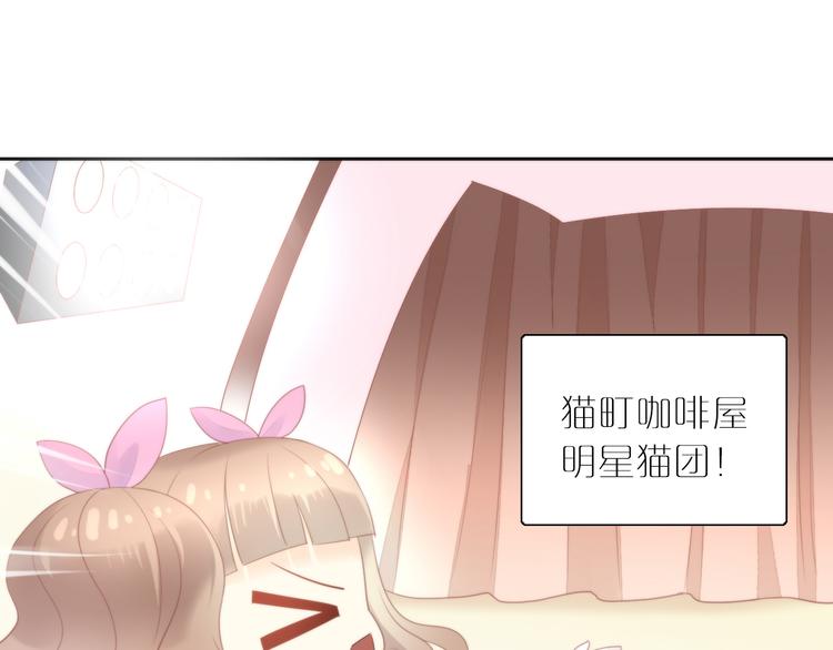 猫爪之下韩漫全集-第78话 选美比赛无删减无遮挡章节图片 
