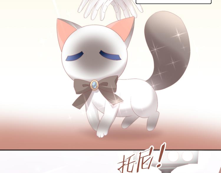 猫爪之下韩漫全集-第78话 选美比赛无删减无遮挡章节图片 