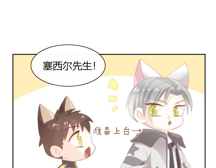 猫爪之下韩漫全集-第78话 选美比赛无删减无遮挡章节图片 