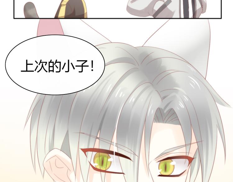 猫爪之下韩漫全集-第78话 选美比赛无删减无遮挡章节图片 