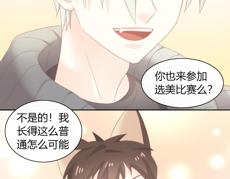 猫爪之下韩漫全集-第78话 选美比赛无删减无遮挡章节图片 