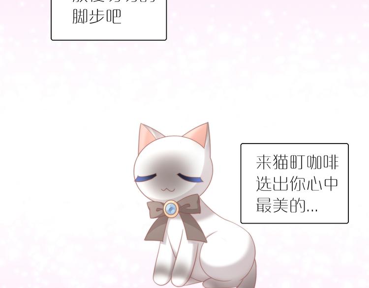 猫爪之下韩漫全集-第78话 选美比赛无删减无遮挡章节图片 