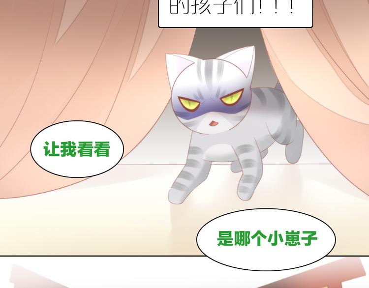 猫爪之下韩漫全集-第78话 选美比赛无删减无遮挡章节图片 