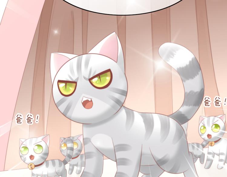 猫爪之下韩漫全集-第78话 选美比赛无删减无遮挡章节图片 