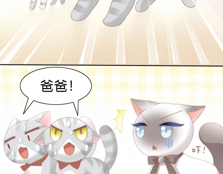 猫爪之下韩漫全集-第78话 选美比赛无删减无遮挡章节图片 