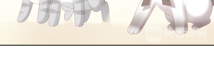 猫爪之下韩漫全集-第78话 选美比赛无删减无遮挡章节图片 