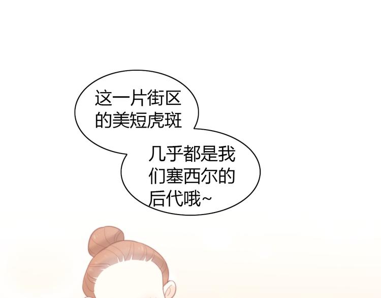 猫爪之下韩漫全集-第78话 选美比赛无删减无遮挡章节图片 